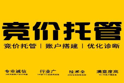 跨行业SEM优化经验分享：如何实现ROI最大化